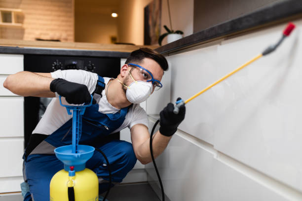 Best Pest Prevention Services  in Linthicum, MD