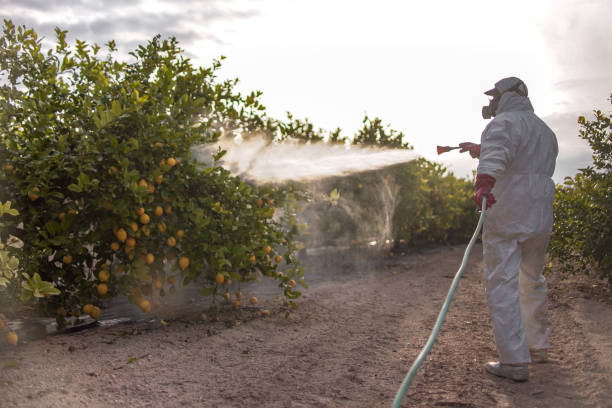 Best Cockroach Control Services  in Linthicum, MD