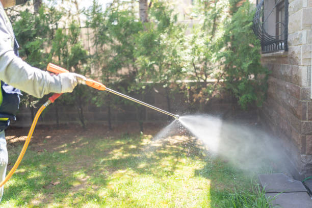 Best Rat Extermination Near Me  in Linthicum, MD